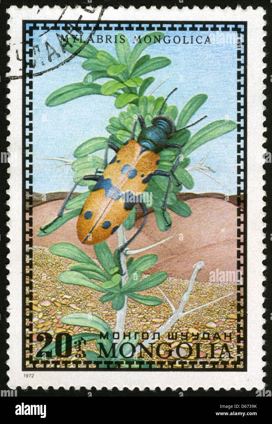 Vintage illustrations of beetles hi-res stock photography and images ...