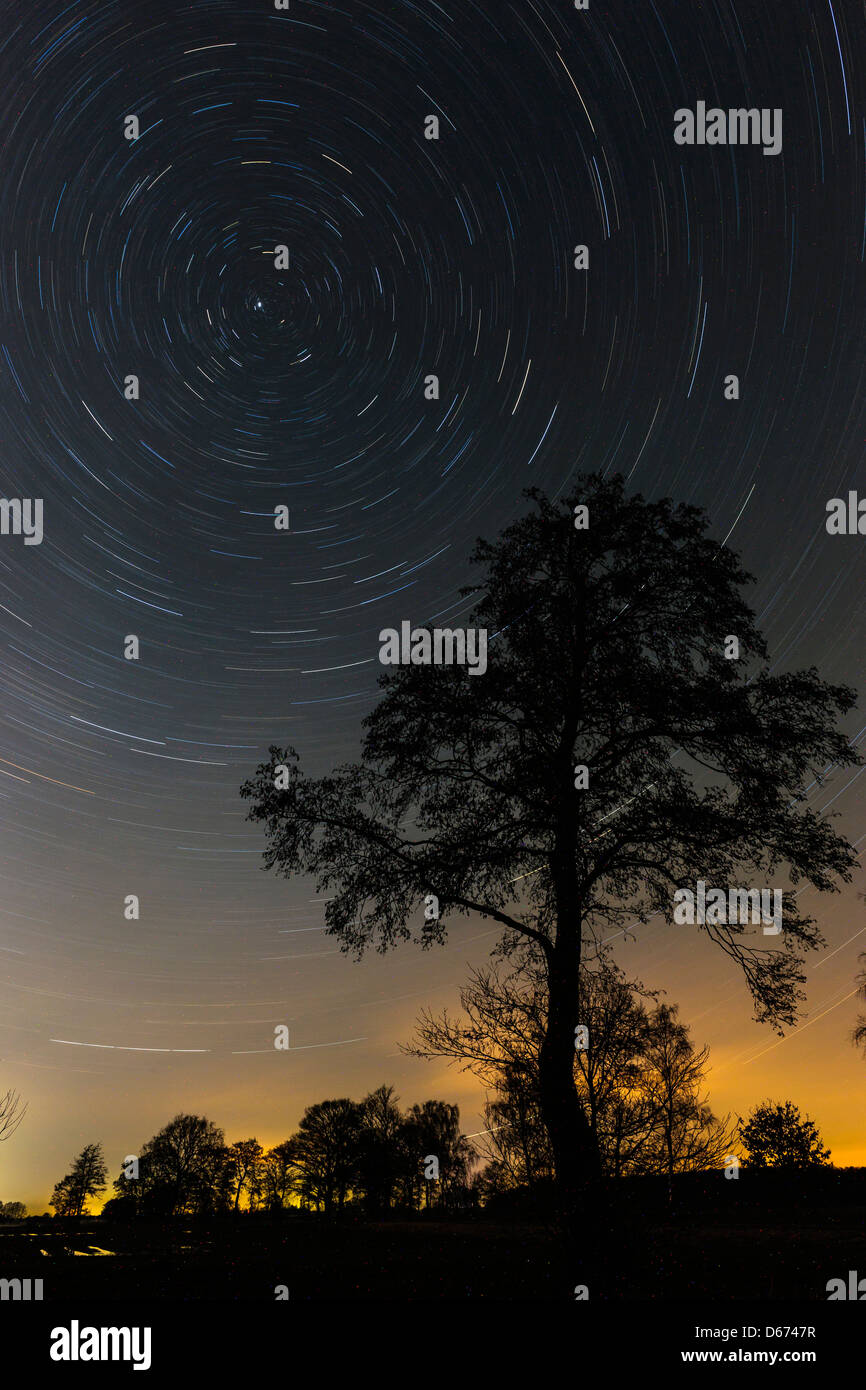 starry sky with trees, boller moor, diepholz district, niedersachsen, germany Stock Photo
