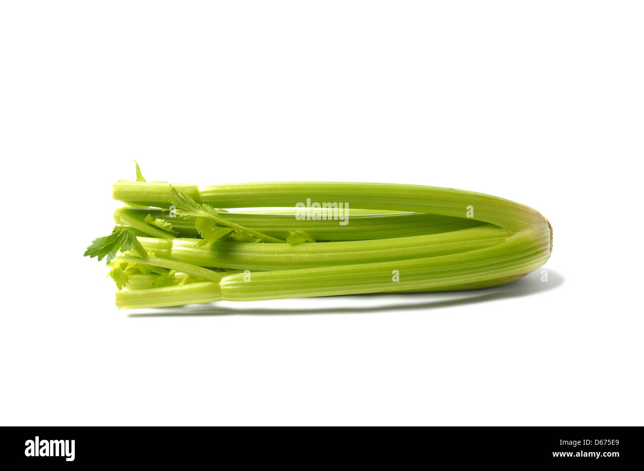 Green Celery on White Background Stock Photo Alamy