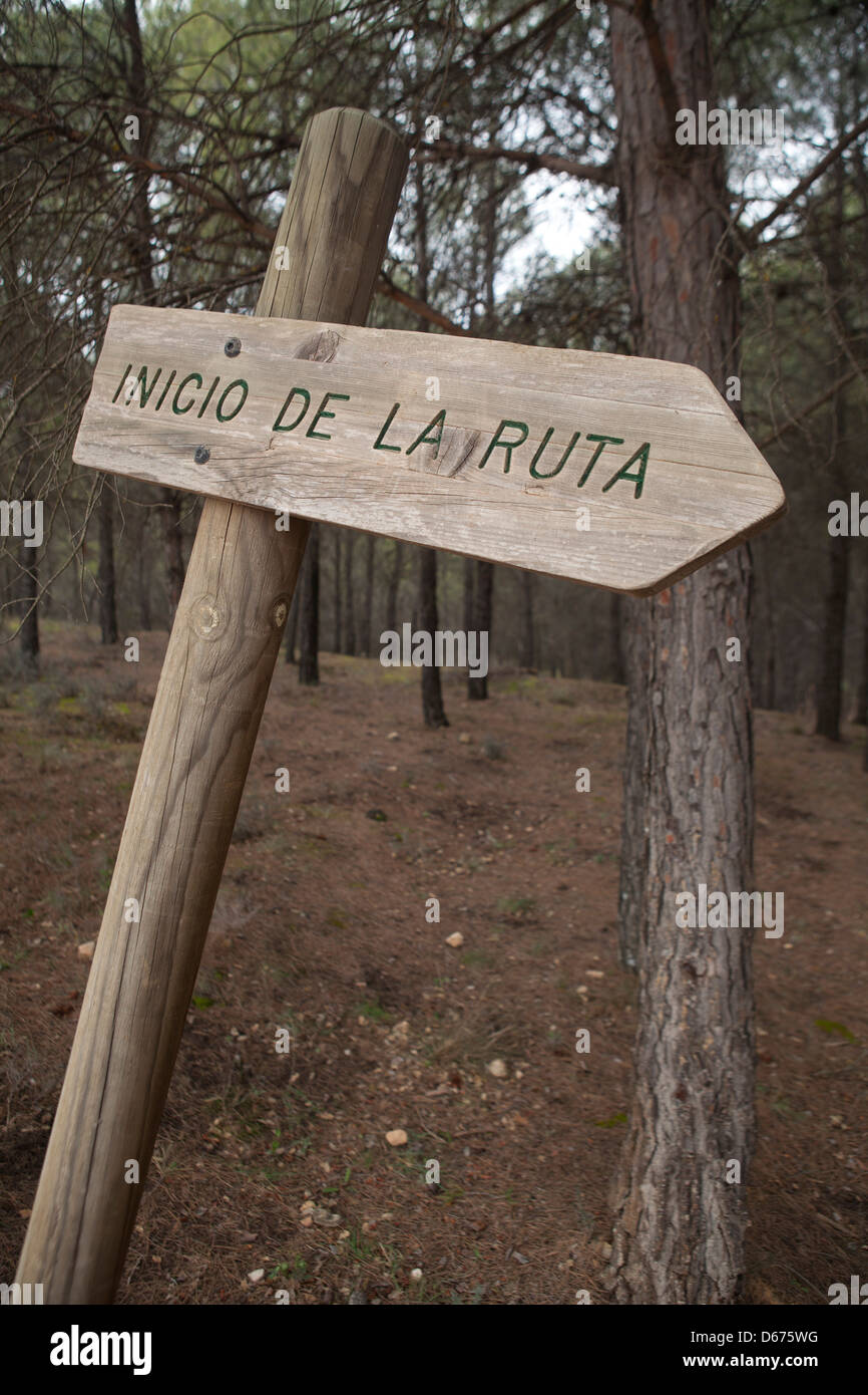 poster, start, path, forest, wood, sign, information, display, post ...