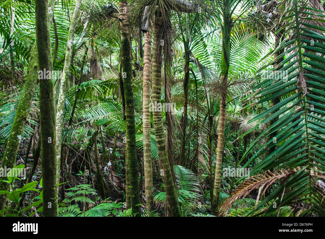 Picture Taken In Puerto Rico Stock Photo - Alamy