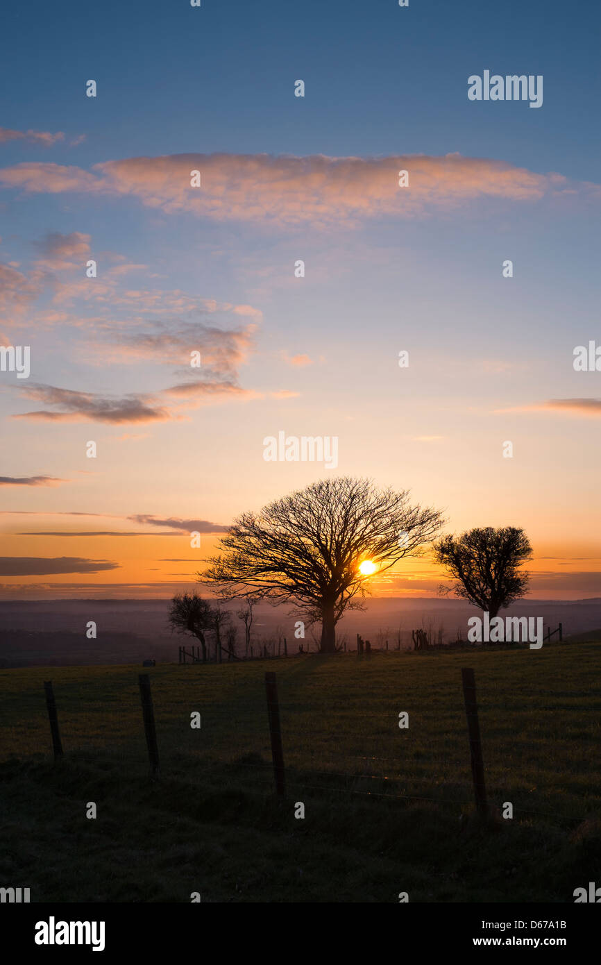 Sunset over Clubman's Down, Dorset. Close to Fontmell and Melbury Downs spectacular views are possible over the Blackmore Vale. Stock Photo