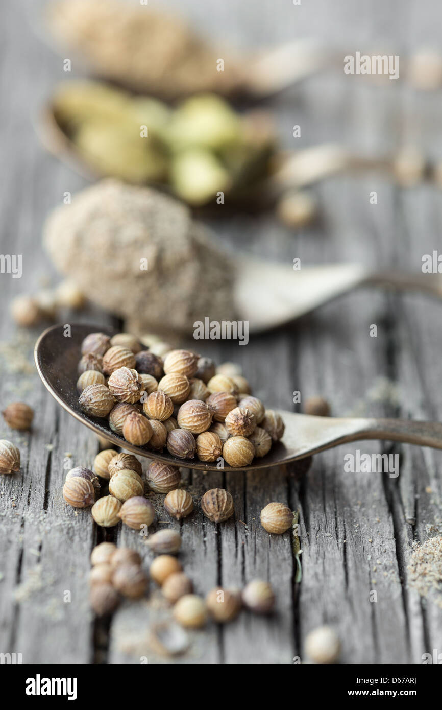 Spoons with cardamom and coriander seeds and powder Stock Photo