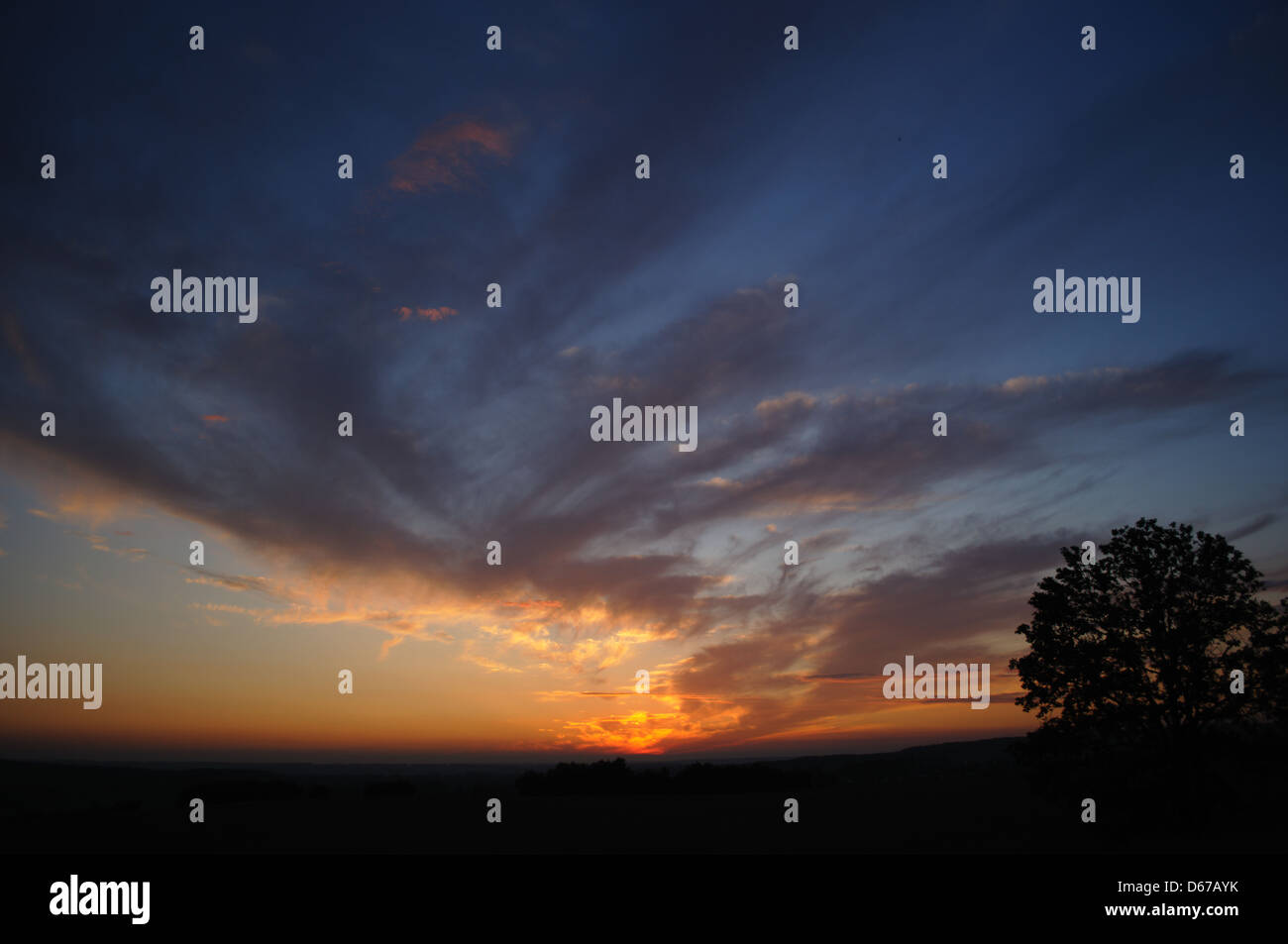 A dramatic sunset scene with a tree silhouetted against a fiery sky ...