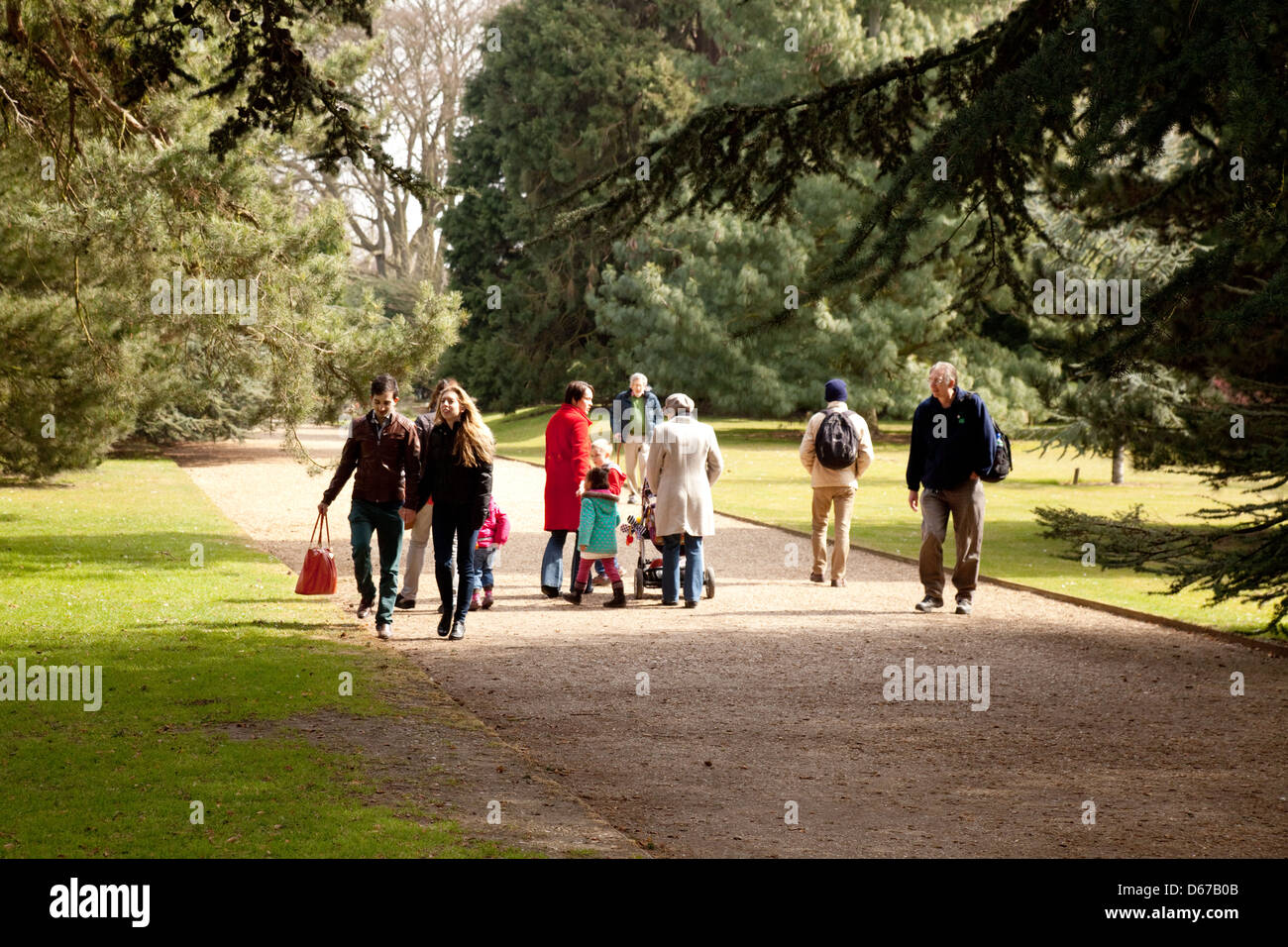 People walking under the trees in the Cambridge University Botanic ...