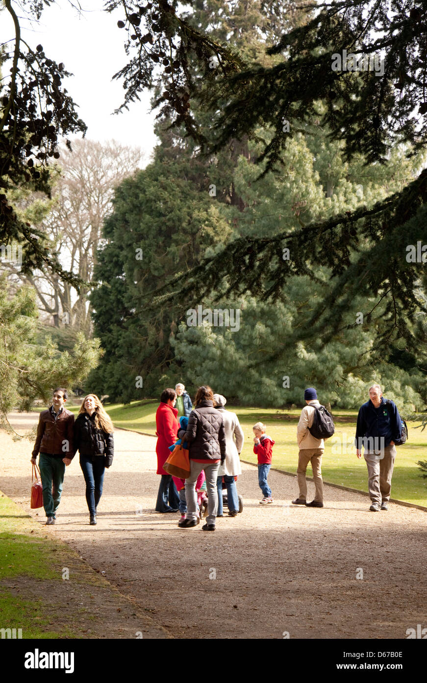 People walking under the trees in the Cambridge University Botanic ...