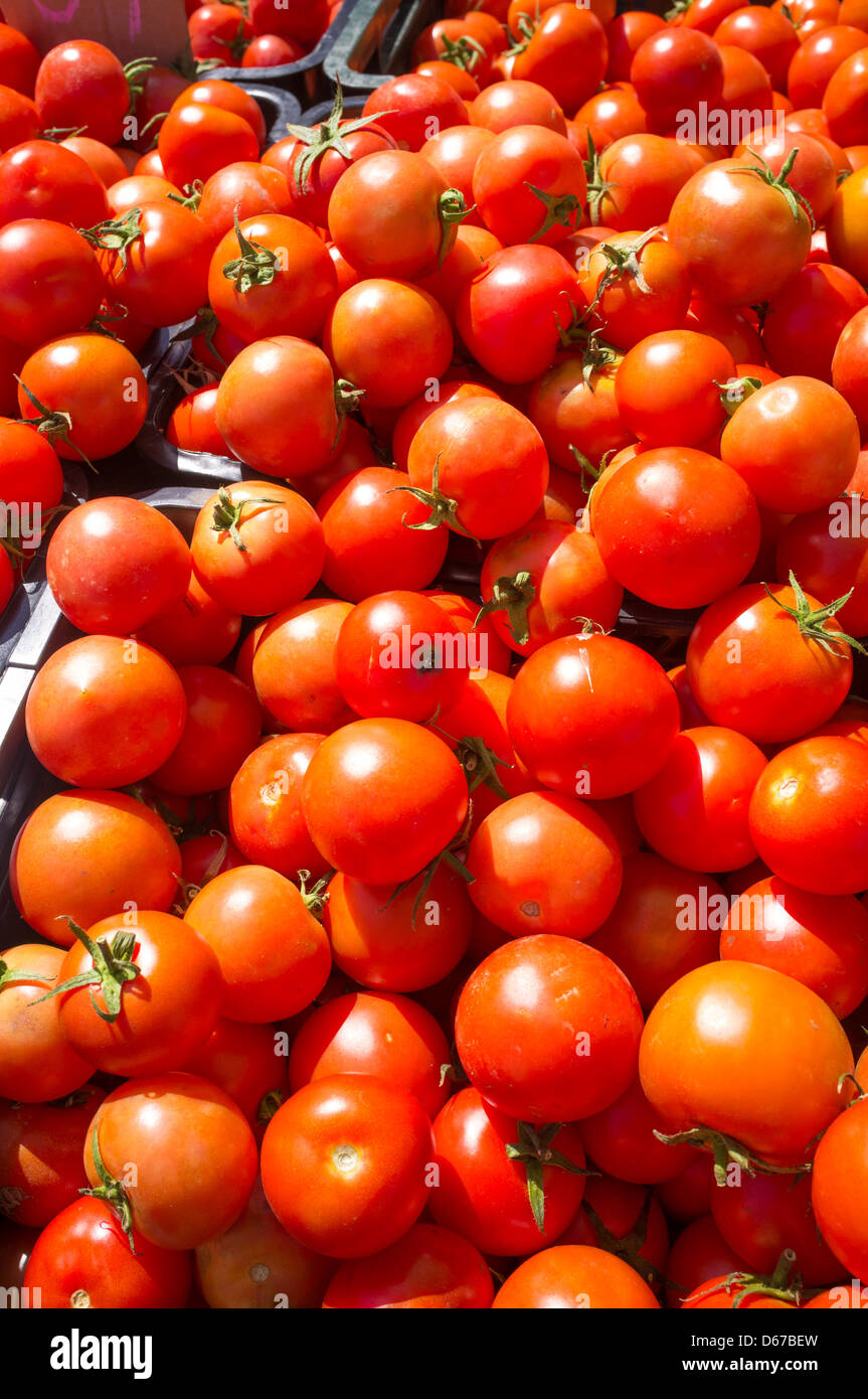 Ripe tomatoes at a market stall, a full frame take Stock Photo - Alamy