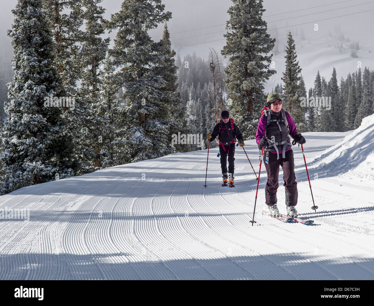 Man and woman skinning uphill on alpine touring skis at Monarch Mountain, Continental Divide, Colorado, USA Stock Photo