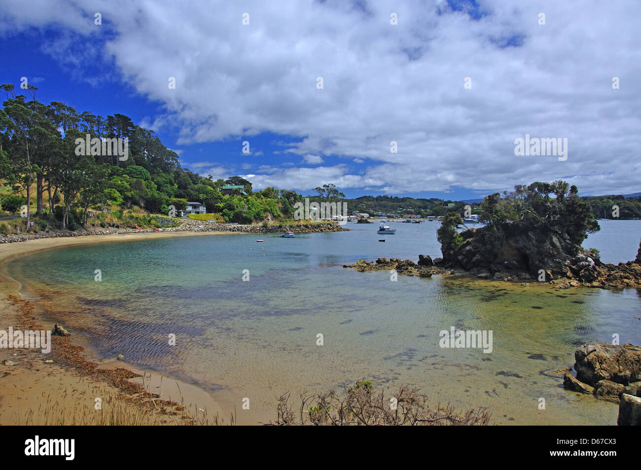 Halfmoon Bay, Stewart Island, Southland Region, South Island, New