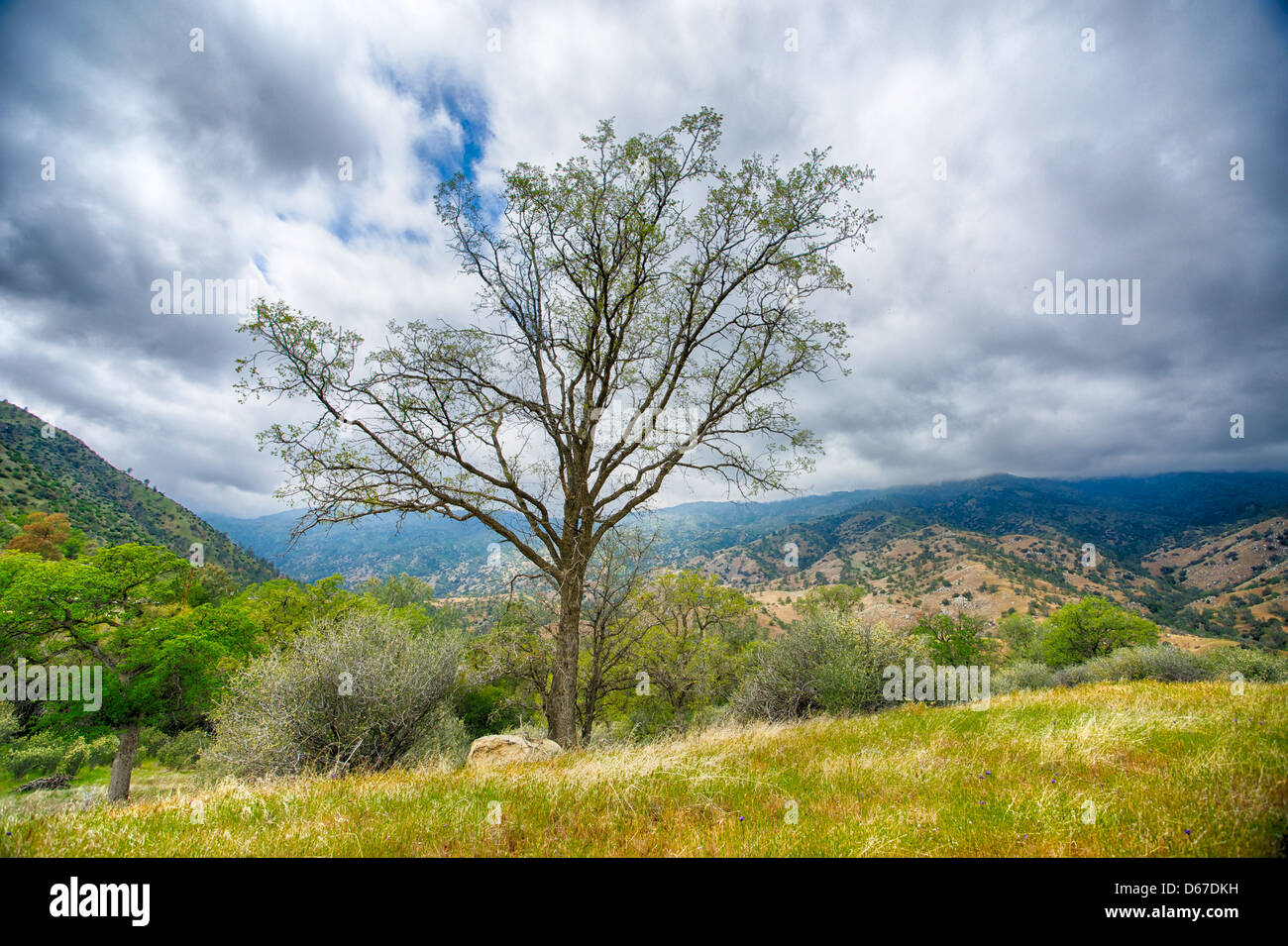 Kern river california hires stock photography and images Alamy