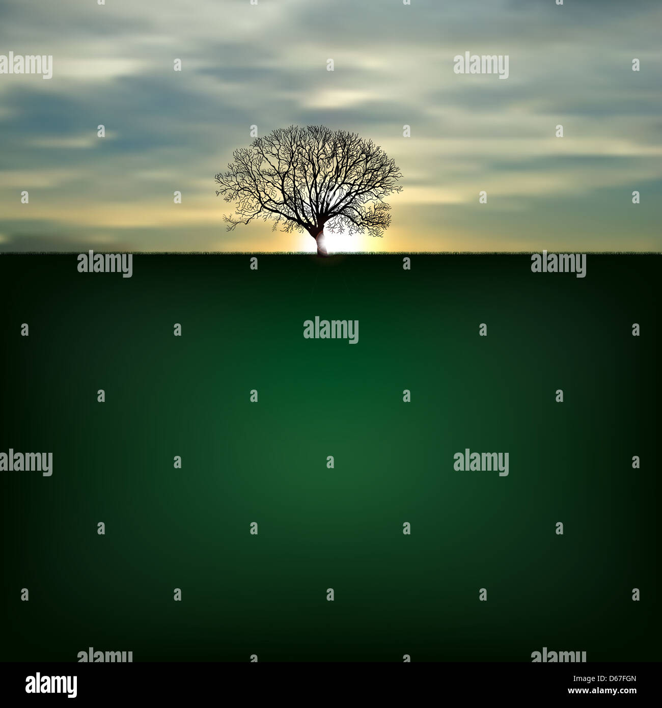 Nature background with silhouette of tree and sunrise Stock Photo - Alamy