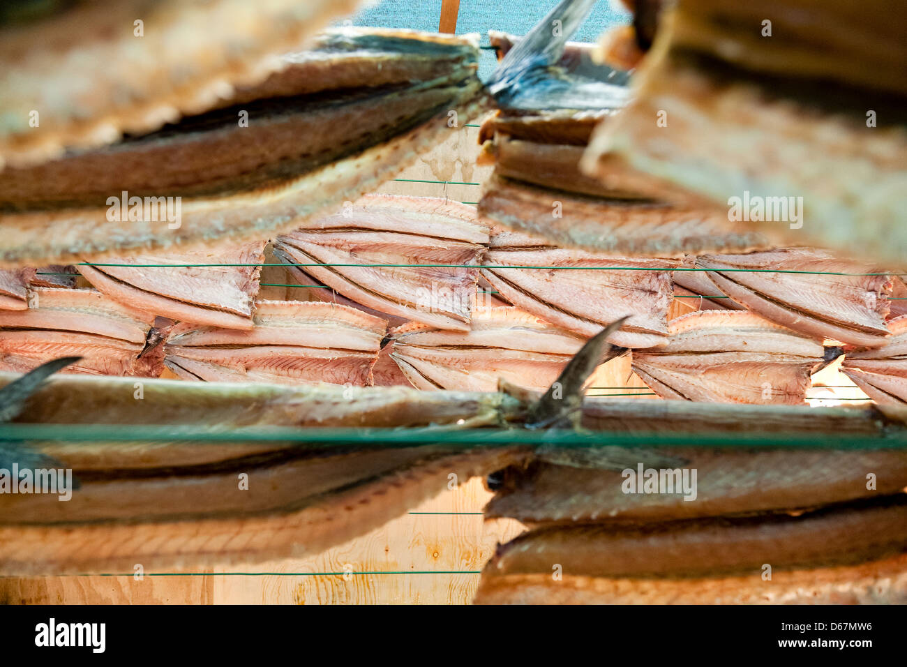 Snoek Food High Resolution Stock Photography and Images - Alamy