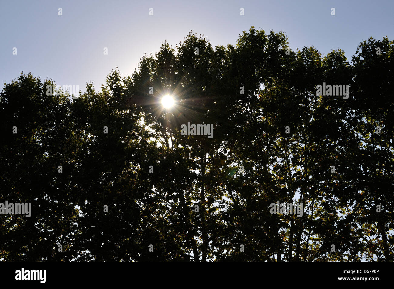 Big large sun hi-res stock photography and images - Alamy