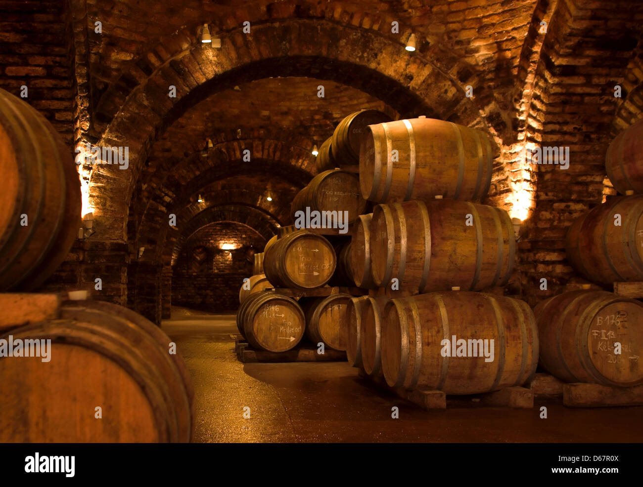 Barrel Vaulted Wine Cellar High Resolution Stock Photography and Images