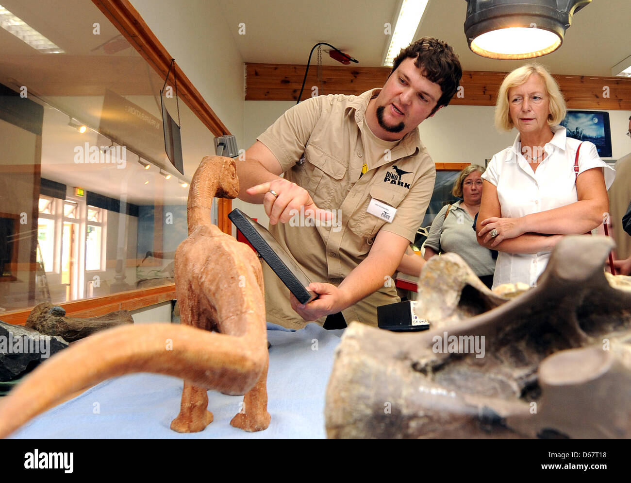 Minister of Science of Lower Saxony Johanna Wanka (CDU, R) has chief taxidermist Nils Knoetschke explain a Dinosaur model at the Dinosaur Open Air Museum in Muenchehagen, Germany, 28 June 2012. A complete skeleton of a Europasaurus is seen in the background. Wanka visited several Dinosaur excavation sites in Lower Saxony. Photo: Holger Hollemann Stock Photo