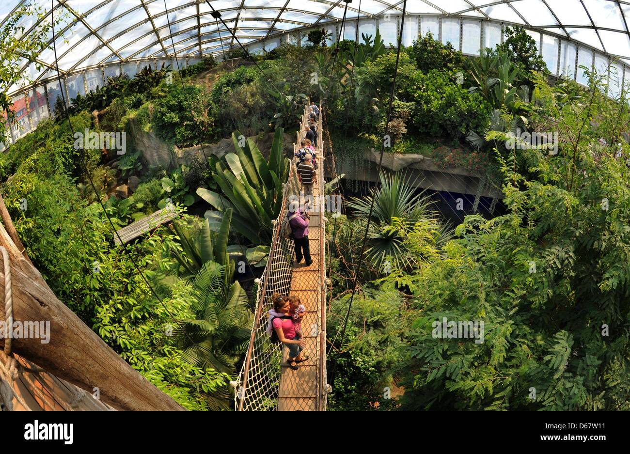 Visitors walk along the treetop path in the gigantic tropical hall 'Gondwanaland' at the Zoo in Leipzig, Germany, 23 June 2012. The 16,500 sqm hall is named for the southern supercontinent Gondwana and will house around 300 animals of 40 speices, as well as 17,000 tropical plants. The biggest tropical hall in Europe was opened one year ago. Photo: Waltraud Grubitzsch Stock Photo