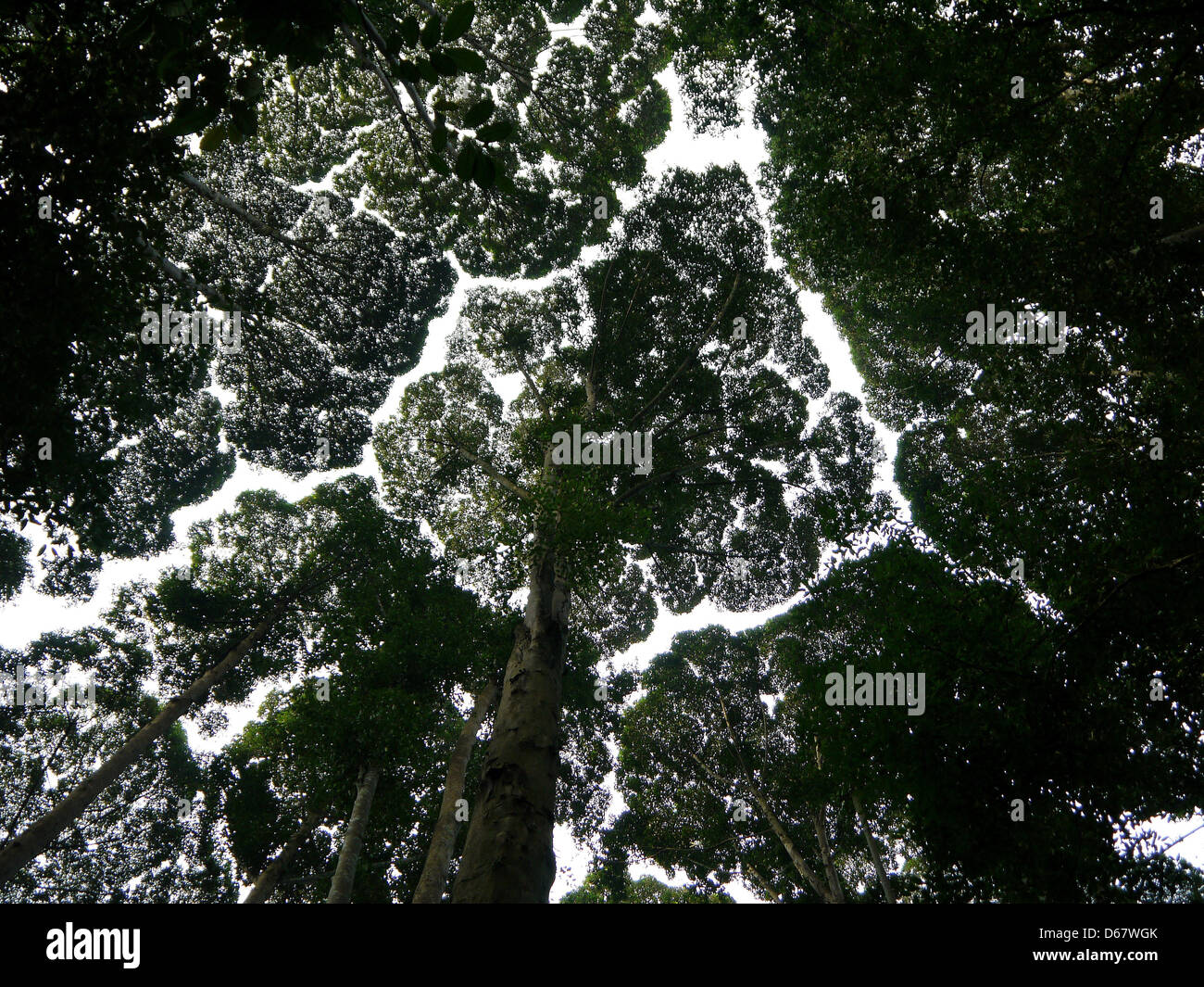 Natural reserve flora hi res stock photography and images Alamy