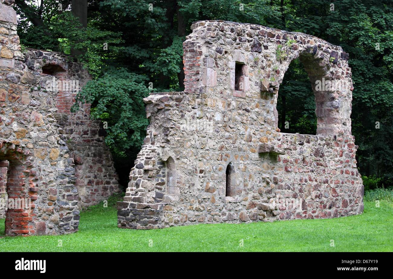 View to the ruins of the Nimbschen Abbey near Grimma, Germany, 27 June 2012. The abbey had been home to Katharina von Bora, wife of Martin Luther. Photo: Jan Woitas Stock Photo
