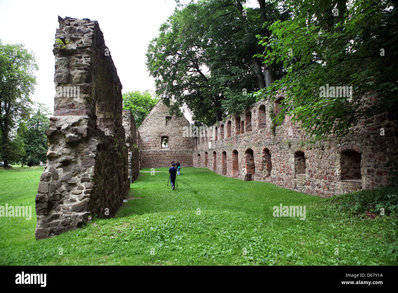 View to the ruins of the Nimbschen Abbey near Grimma, Germany, 27 June 2012. The abbey had been home to Katharina von Bora, wife of Martin Luther. Photo: Jan Woitas Stock Photo