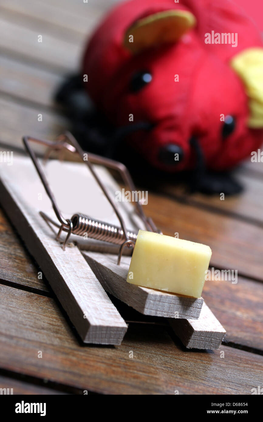 mouse trap with cheese and a red plastic mouse Stock Photo