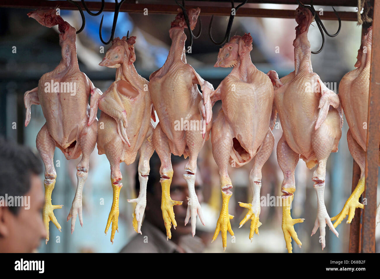 Plucked chickens at a market in Bangalore, India, 22 June 2012. Photo