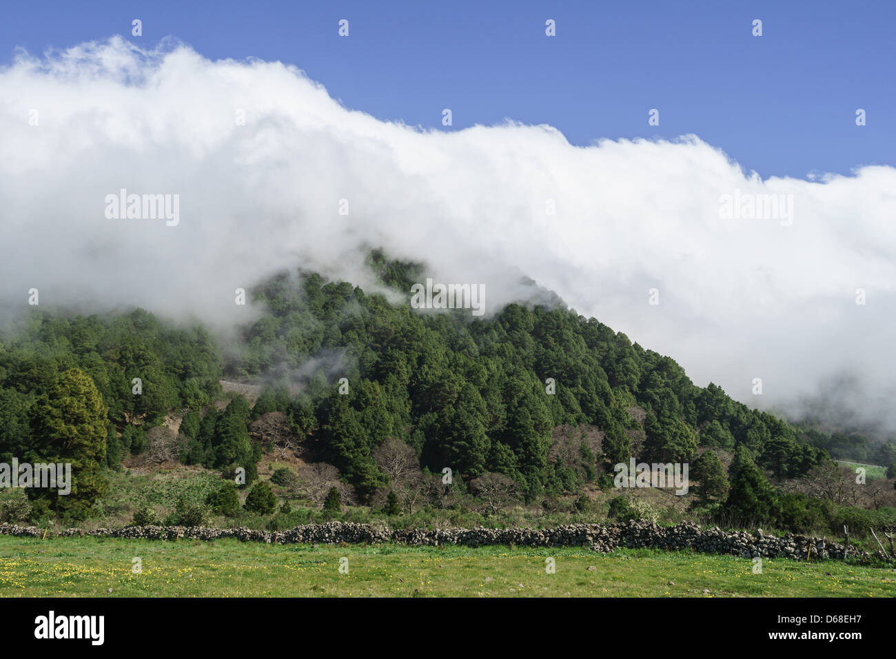 La Palma, Canary Islands cloud descends from the volcanic range into