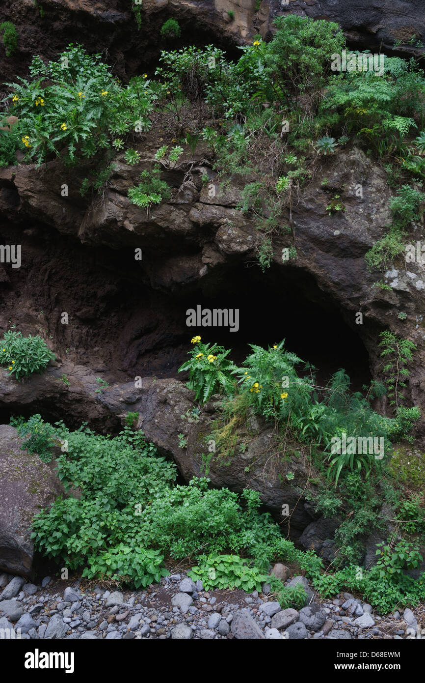 La Palma, Canary Islands - Barranco Gallegos, a dry river gulch in the north-east of the island; cave Stock Photo
