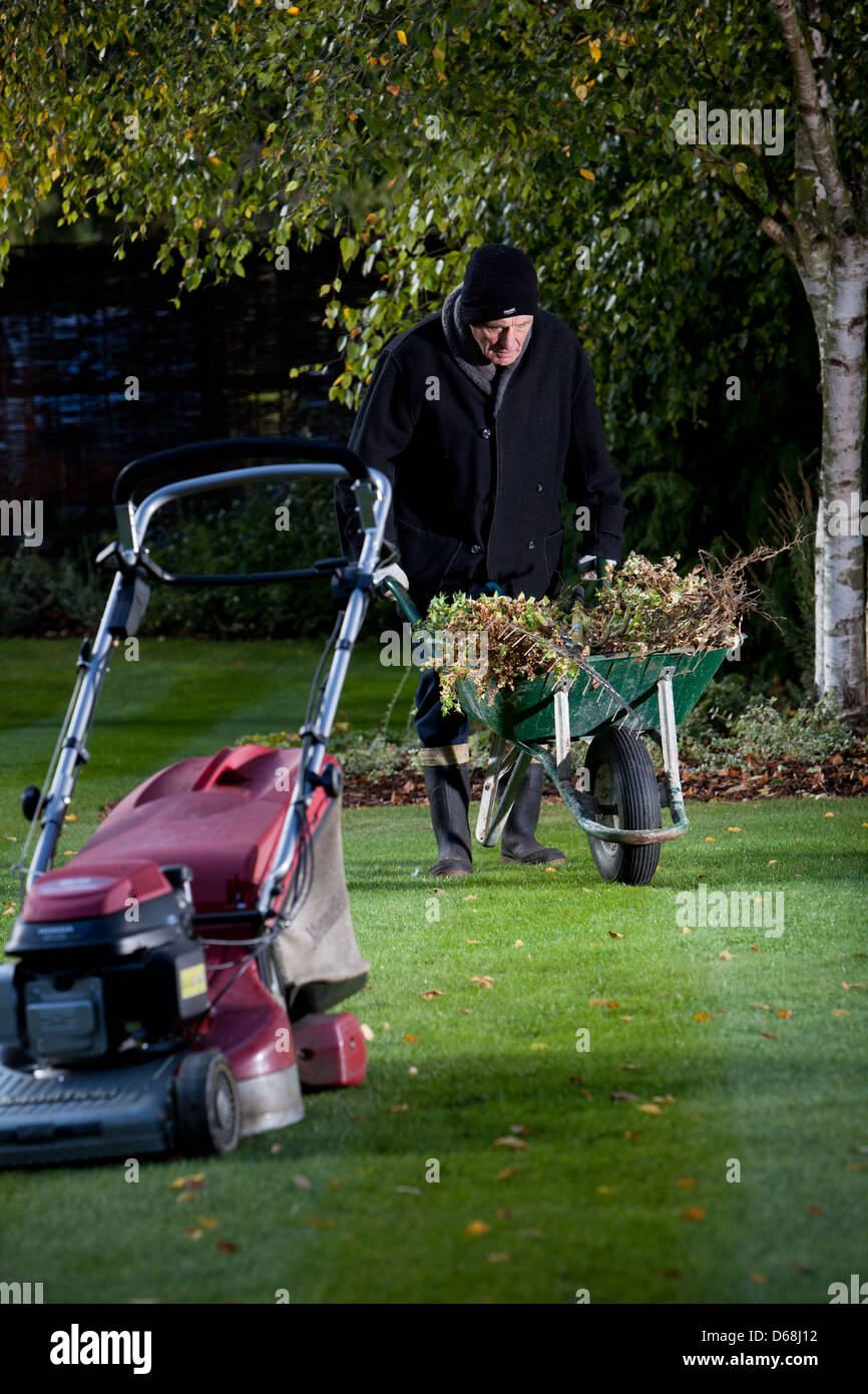 Old man doing the gardening, pushing wheelbarrow, cutting the lawn. Stock Photo