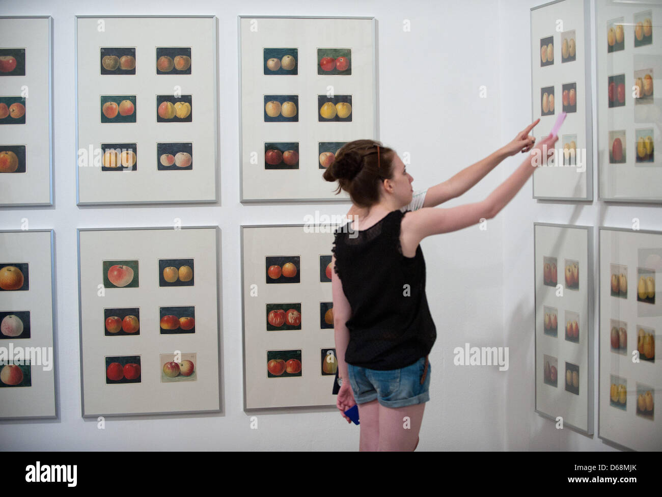Visitors of documenta (13) observe the work 'Apples 1912-1960s' of Korbinian  Aigner, made of 372 scetches, at Museum Fridericianum in Kassel, Germany,  04 July 2012. People seeking insight into facets of contemporary