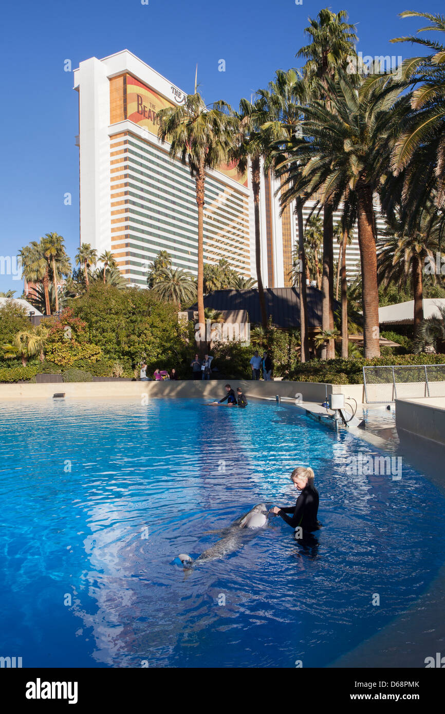 The mirage dolphin vegas hi-res stock photography and images - Alamy