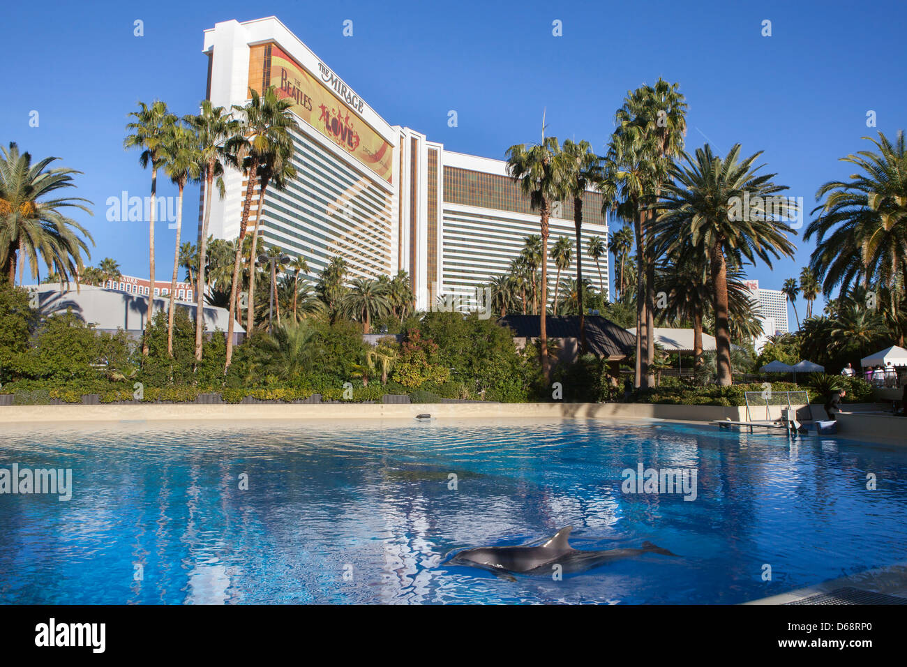 A dolphin at The Mirage, Las Vegas, Nevada, USA Stock Photo - Alamy