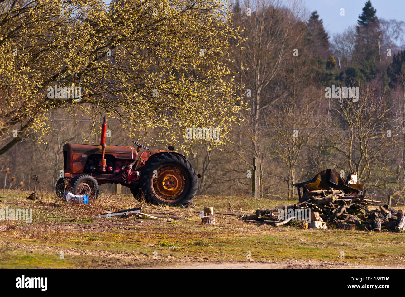 Rusty old tractor in field Stock Photo - Alamy