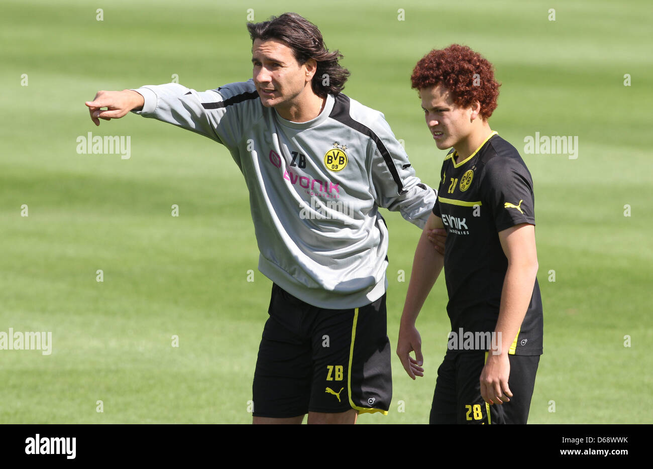 amini borussia dortmund