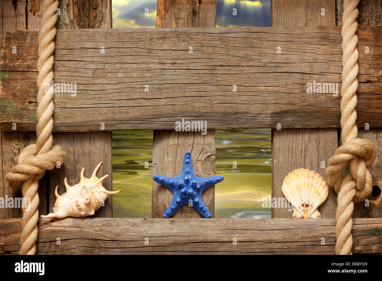 Starfish on the beach on sand with shells background concept Stock Photo
