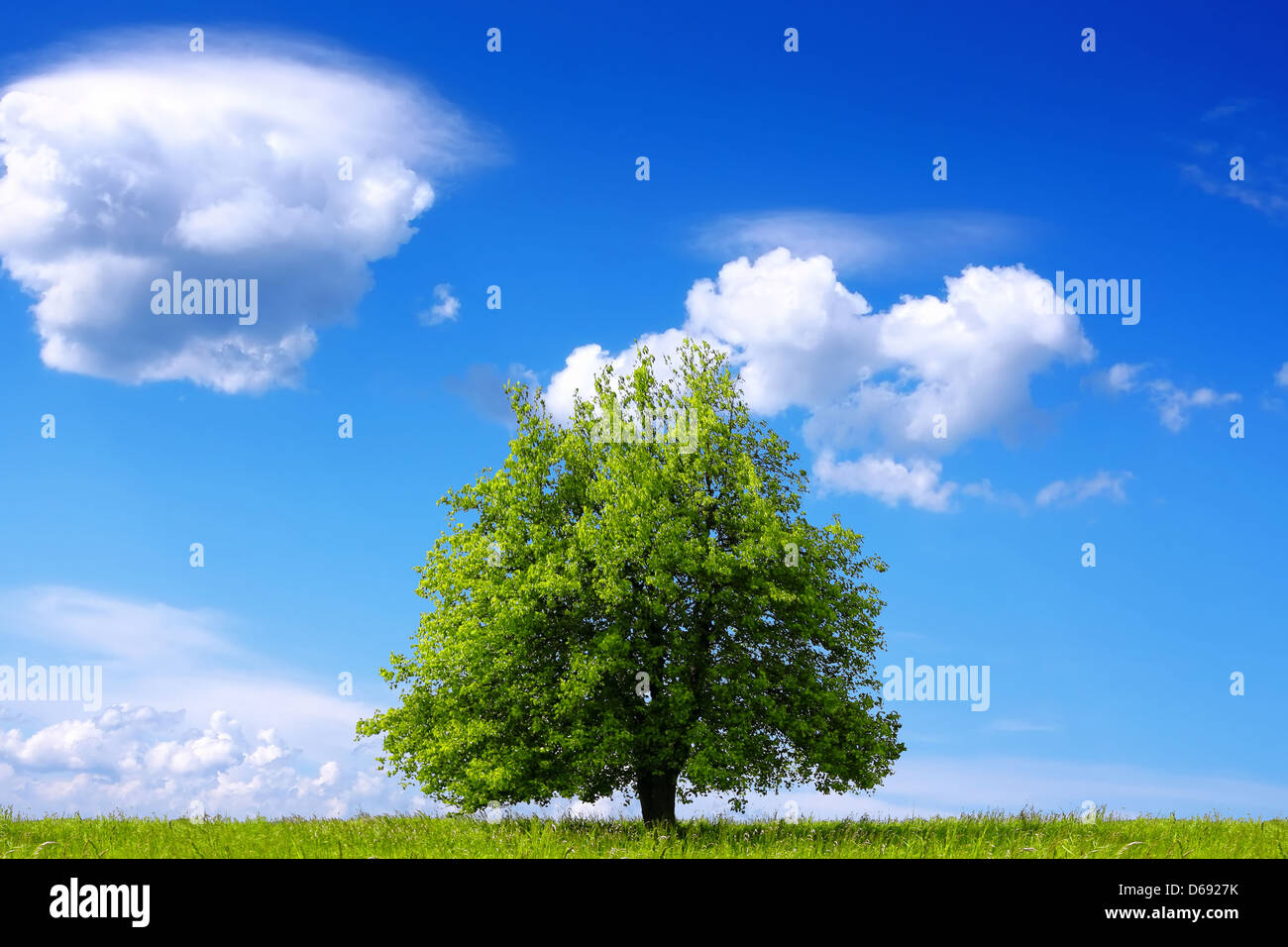 Agriculture ecology hi-res stock photography and images - Alamy