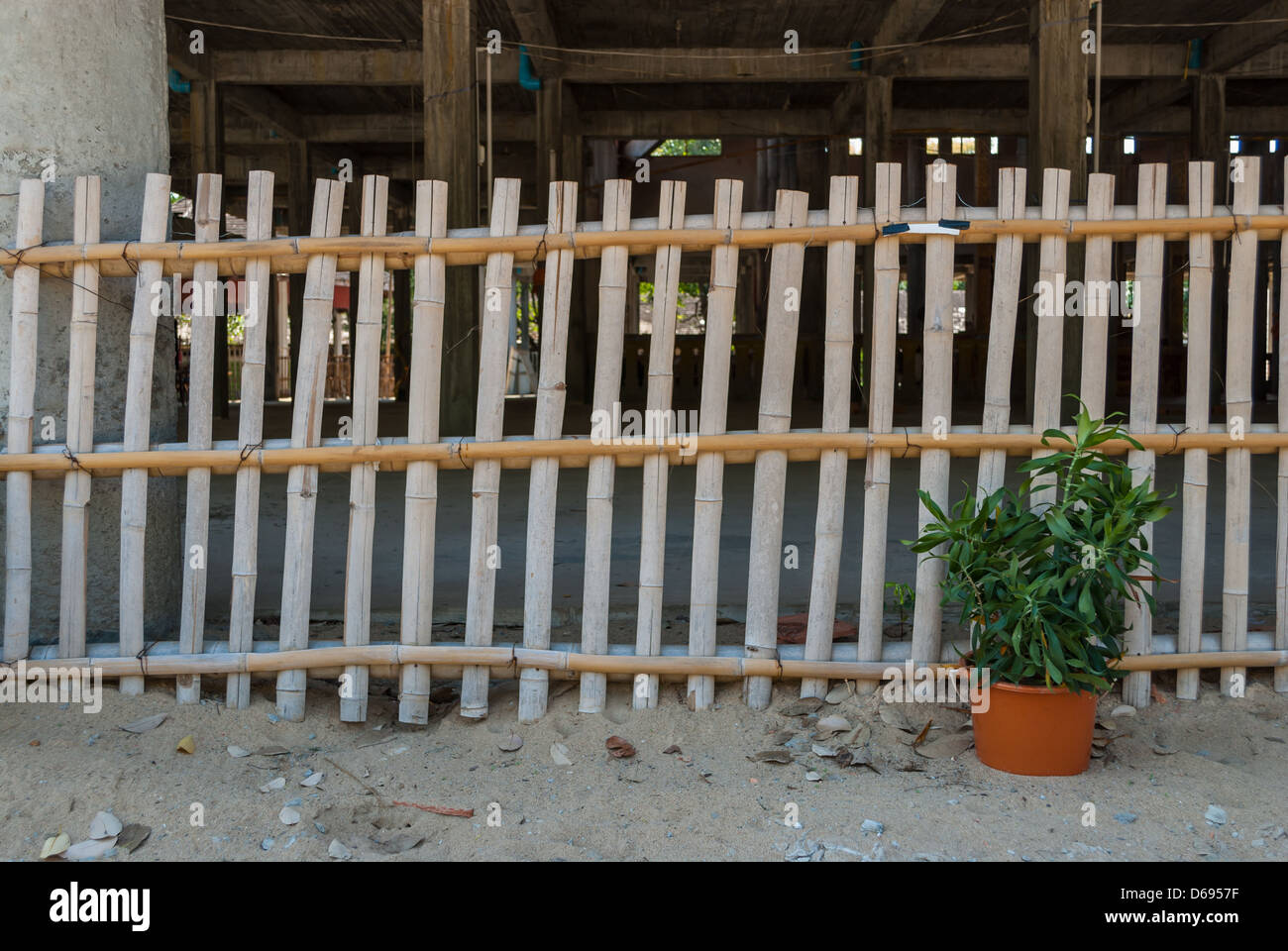Bamboo Fence with a little tree and sand under a building Stock Photo