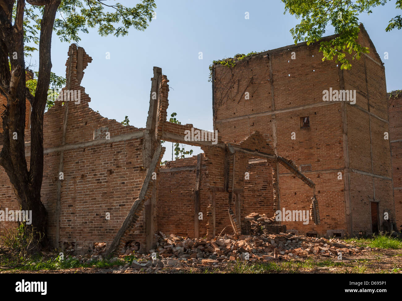 Abandoned building on a rural meadow with big tree Stock Photo