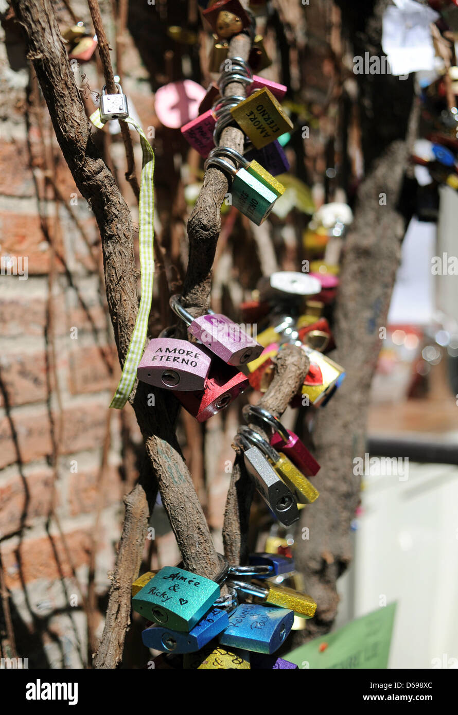 So-called 'love padlocks' have been locked to a tree in Verona, Italy, 21 April 2012. Photo: Britta Pedersen Stock Photo