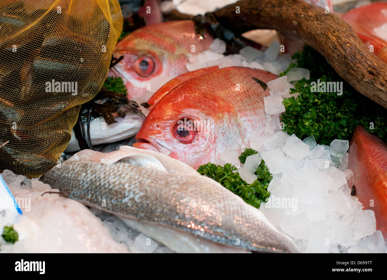 selection of fish on fishmonger's display counter Stock Photo