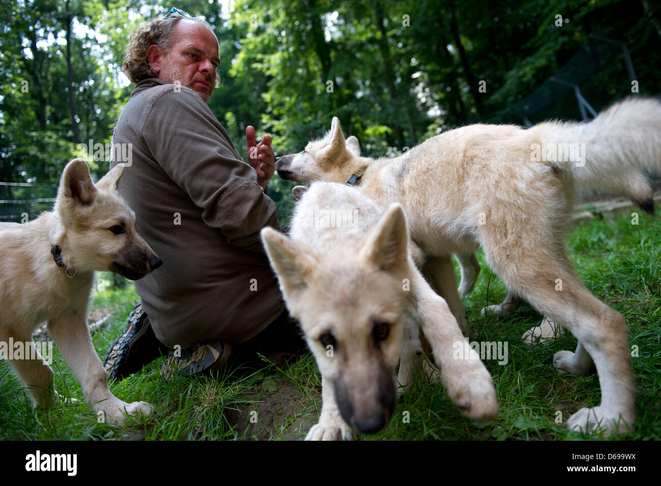 Matthias Wolf High Resolution Stock Photography And Images Alamy