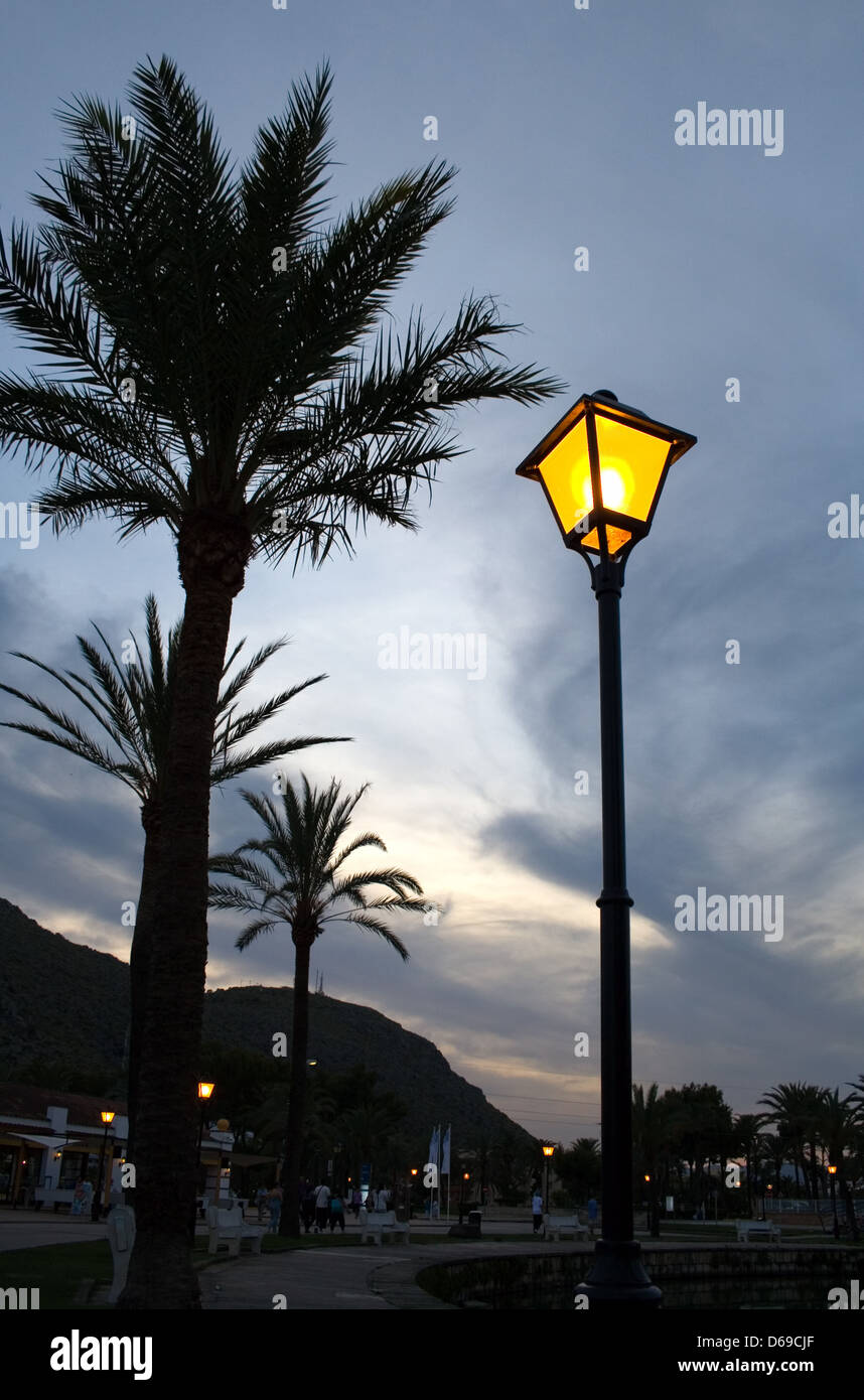 Evening tropical landscape. Glowing street lamp and palms Stock Photo