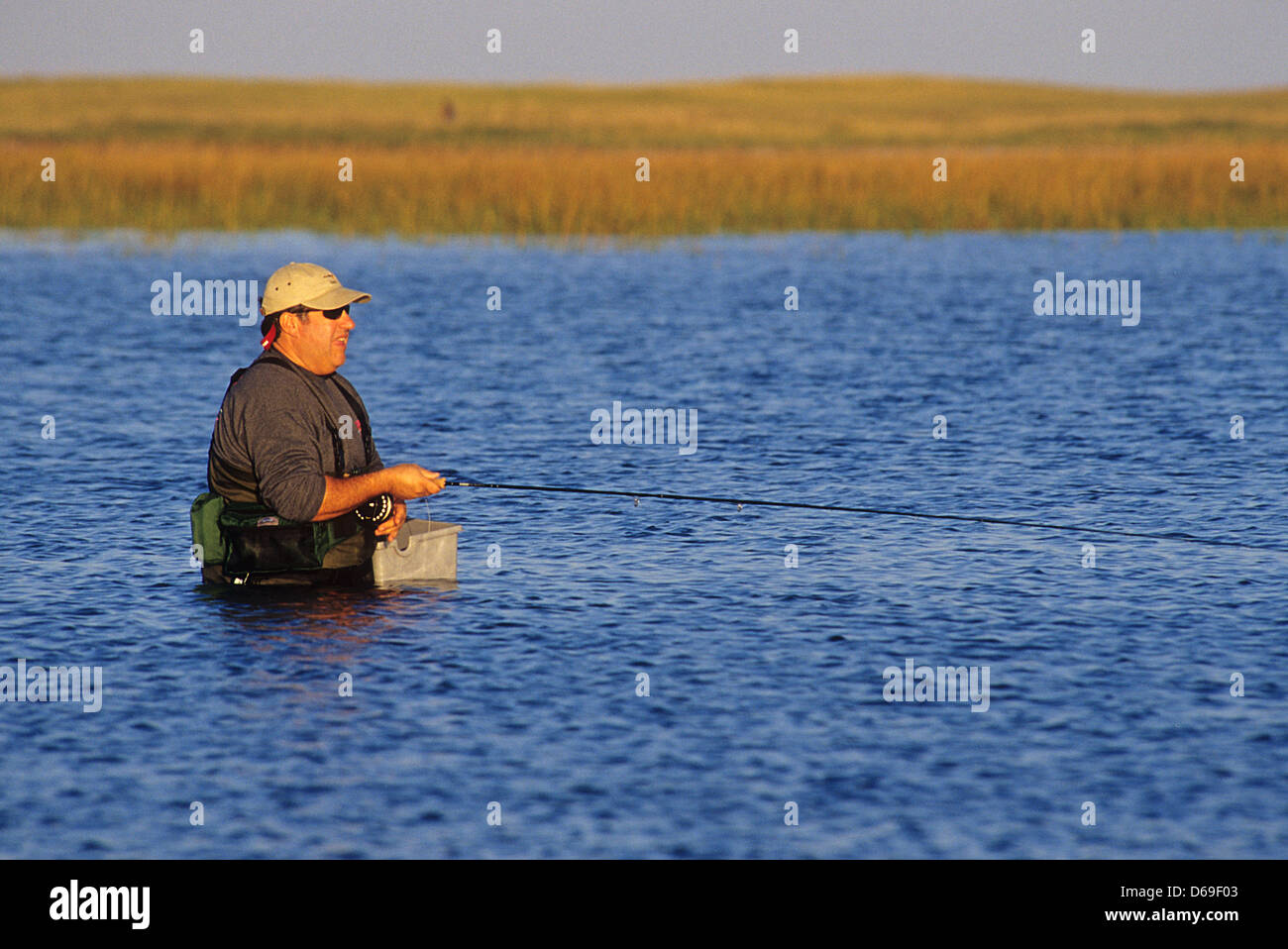 A fly fisherman wading for striped bass and bluefish at Cape Cod