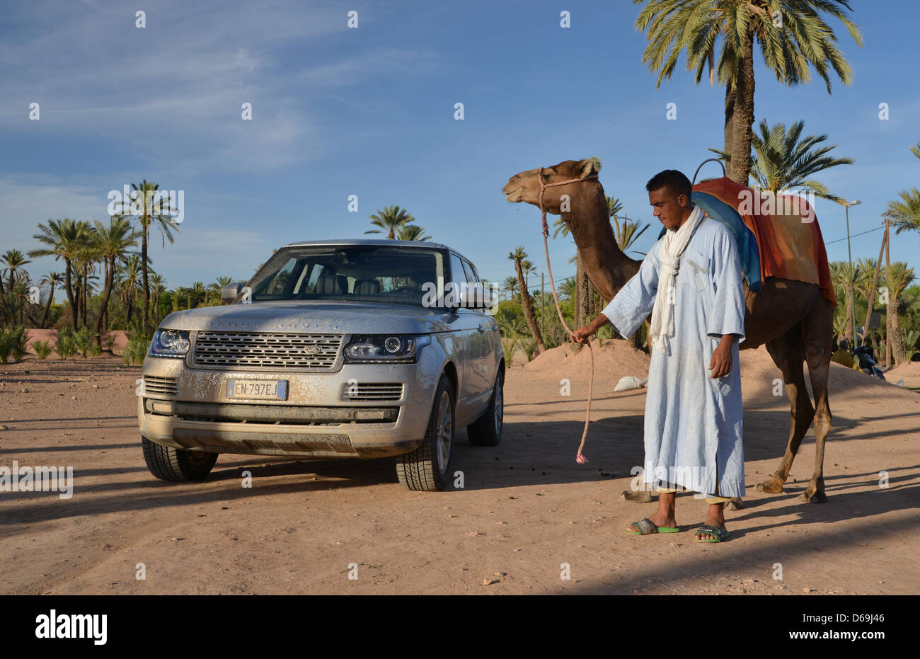 2013 Range Rover in the dessert of Morocco with a camel herde. The all ...
