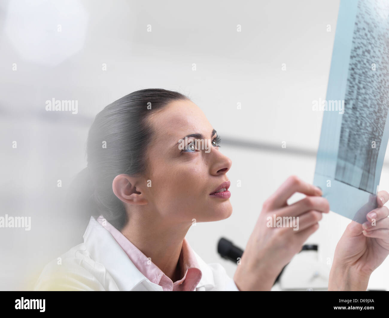 Scientist examining DNA sequencing gel Stock Photo