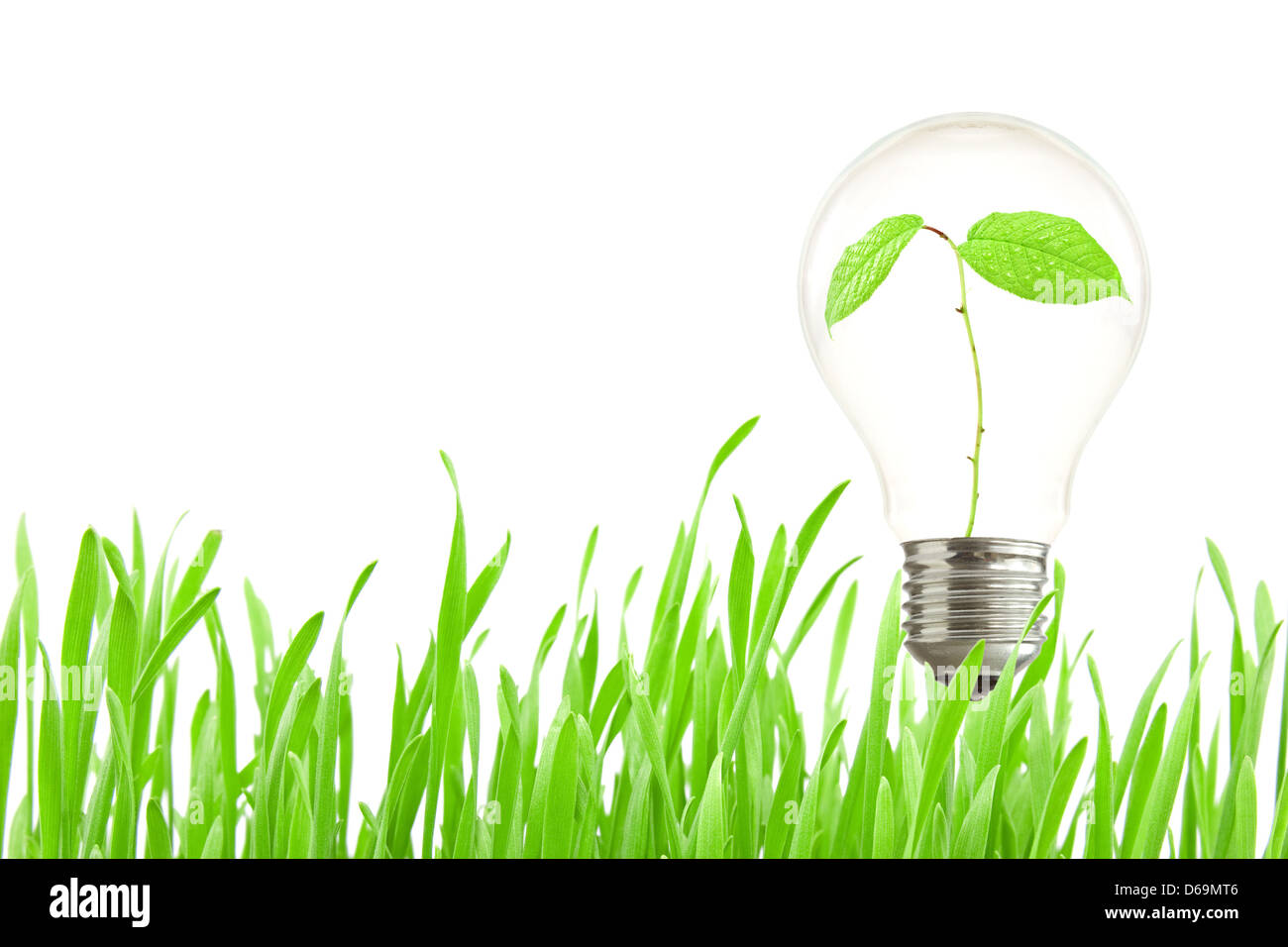 Green eco energy concept, plant growing inside the light bulb Stock ...