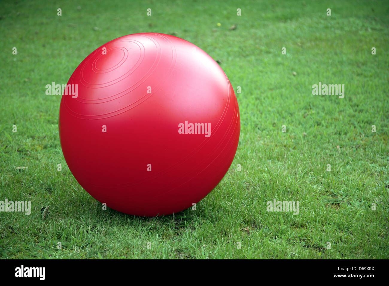 meadow,fitness ball,rubber ball Stock Photo Alamy