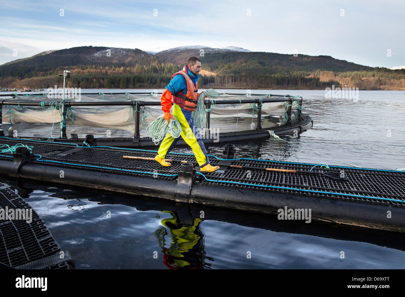 Worker on salmon farm in rural lake Stock Photo