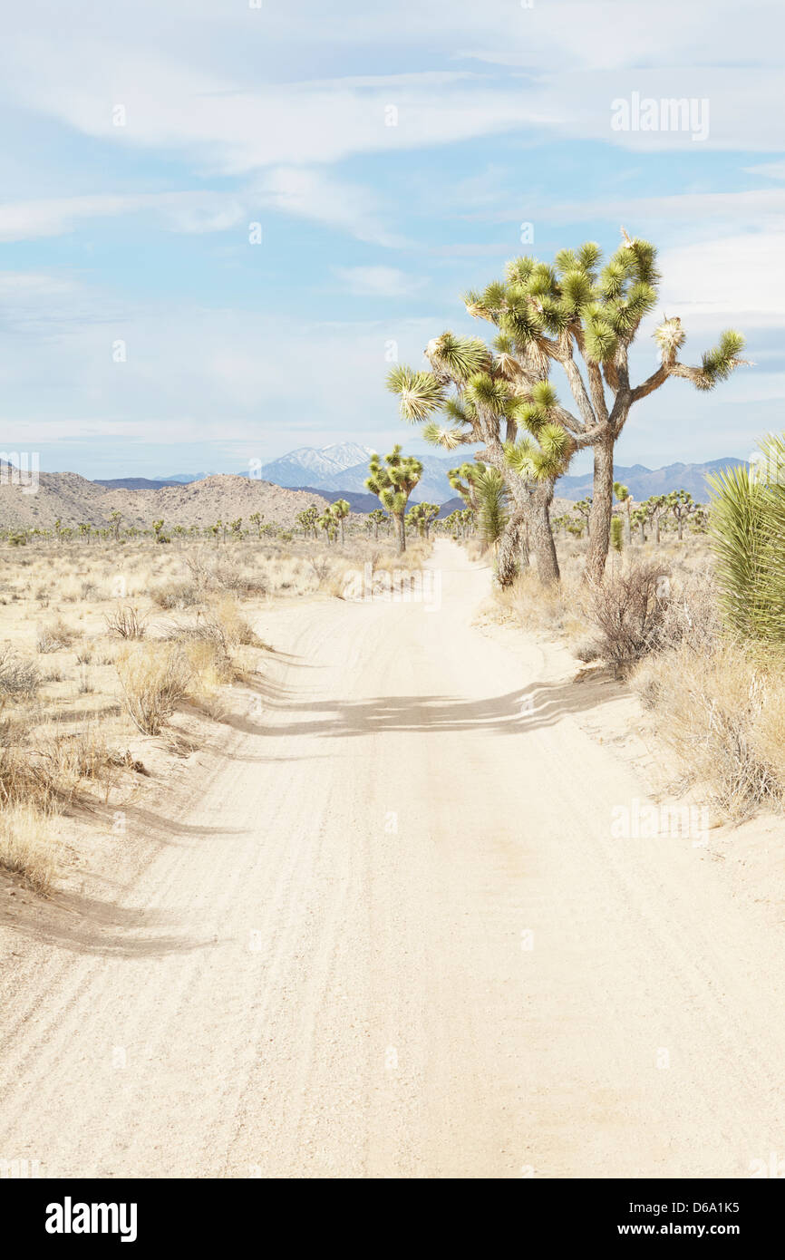 Rural road in dry desert landscape Stock Photo