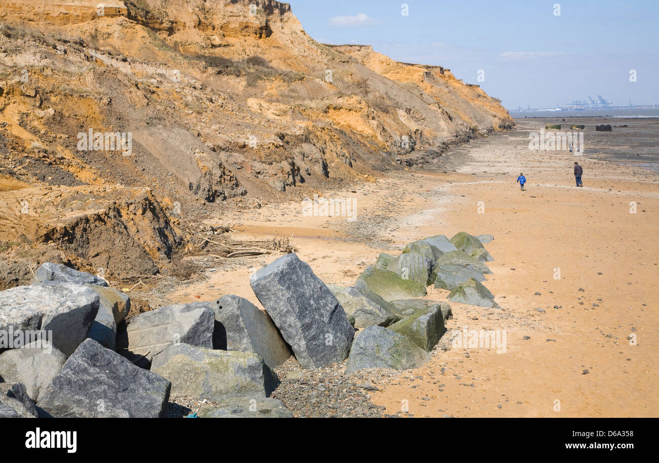 Rapidly eroding soft cliffs at Walton on the Naze, Essex, England Stock Photo