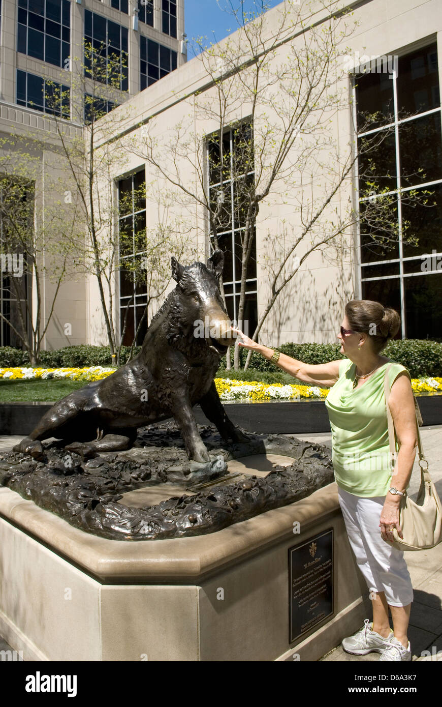 "11 Porcellino" The Original Wild Boar Statue Greenville SC USA Stock